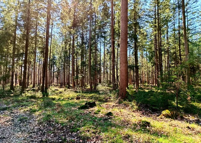 - Apeldoorn Met Jacuzzi Wenum