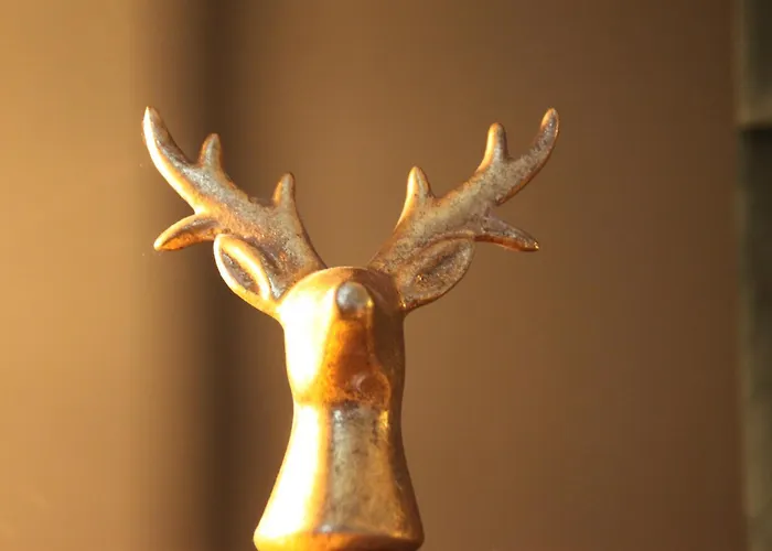 - Apeldoorn Met Jacuzzi