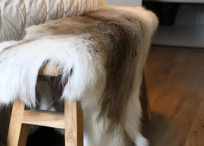 - Apeldoorn Met Jacuzzi Wenum