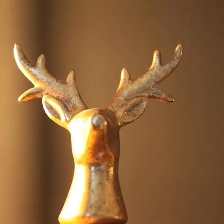 - Apeldoorn Met Jacuzzi